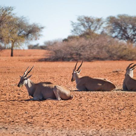 Hotel Kalahari Anib Campsite Hardap Exteriér fotografie