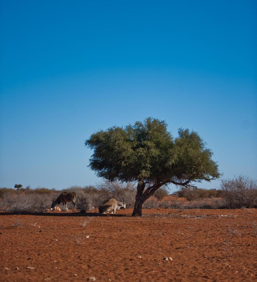 Kalahari Anib Campsite Hardap Exteriér fotografie